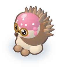 Market hedgehog